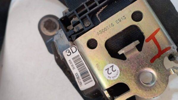 14972660xx CINTURON EXPERT 2009 - Imagen 3