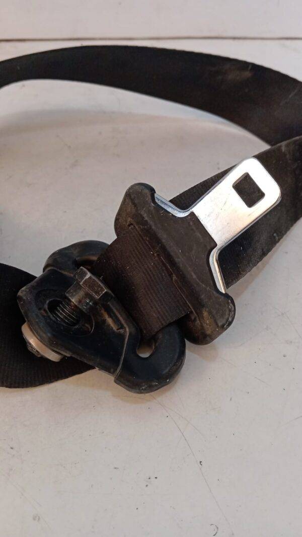 14972660xx CINTURON EXPERT 2009 - Imagen 2