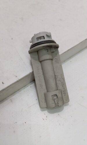 89391694 RENAULT CASQUILLO LUZ